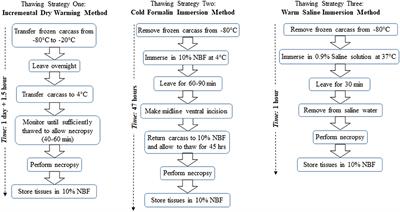 Protocol Improvement for RNA Extraction From Compromised Frozen Specimens Generated in Austere Conditions: A Path Forward to Transcriptomics-Pathology Systems Integration